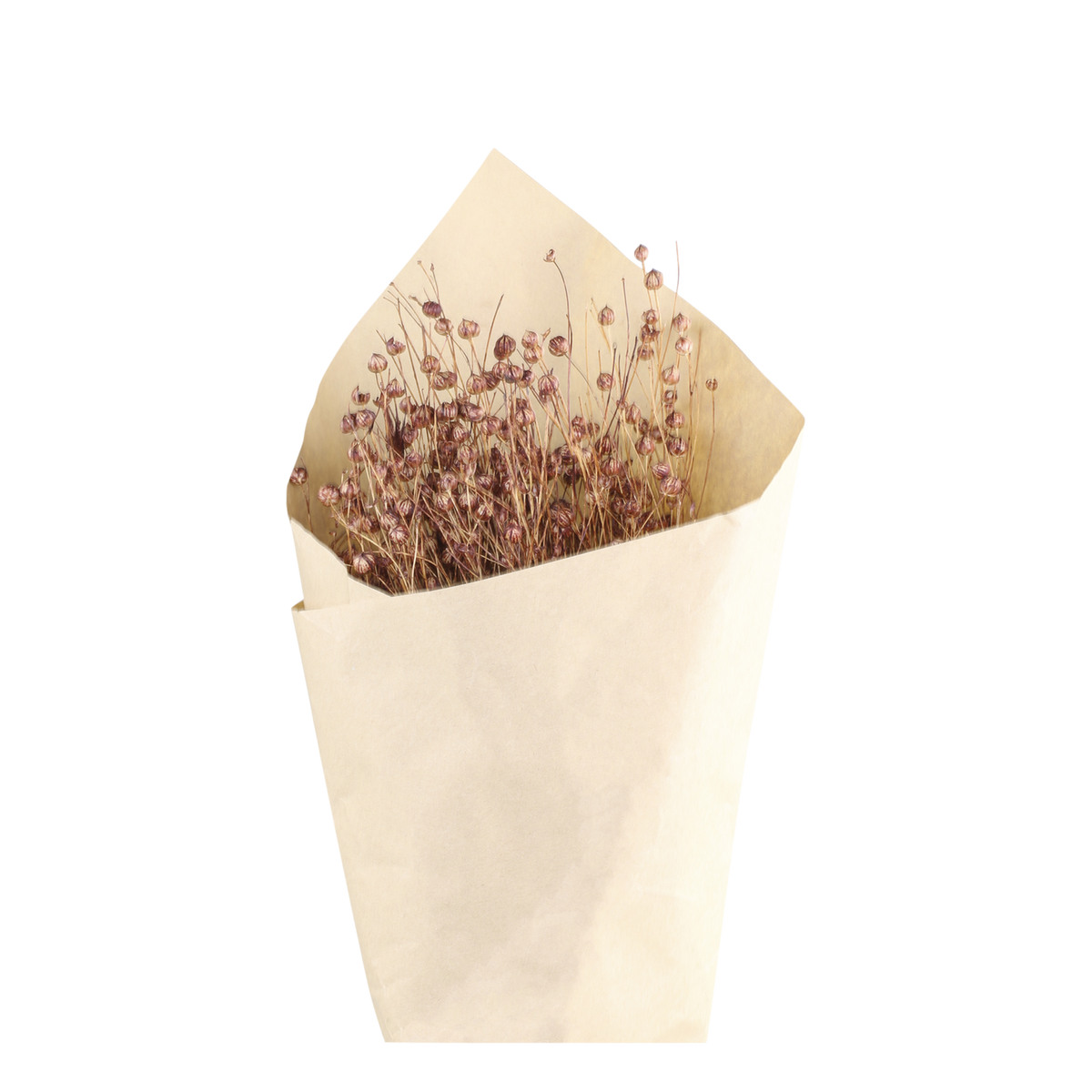 Fleur gedroogd vlas boeket – taupe – 61 cm