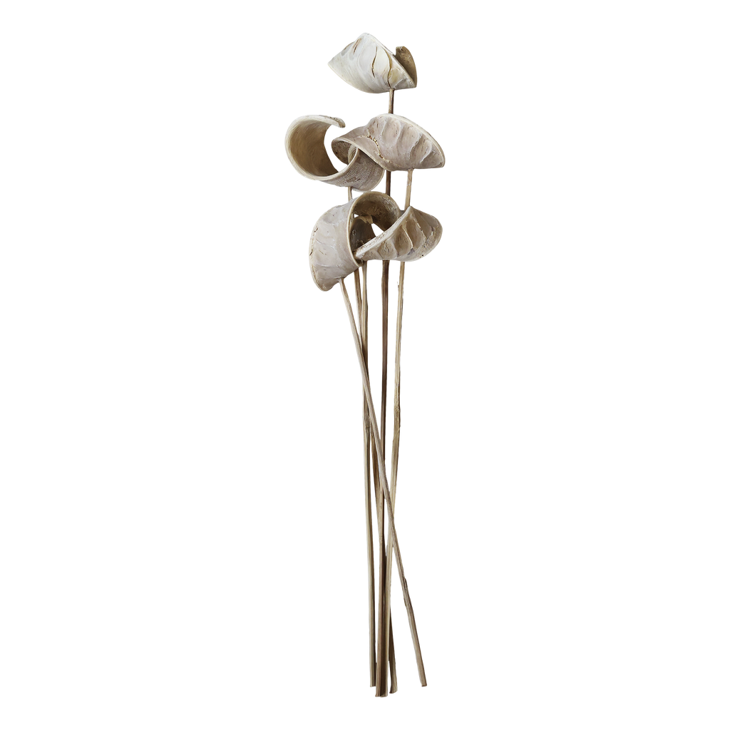 Fleur gedroogde Alocasia bladeren – naturel