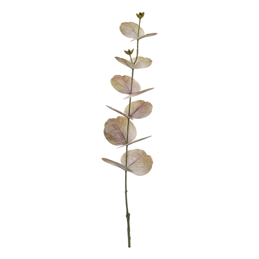 Fleur eucalyptus kunsttak Silk Touch