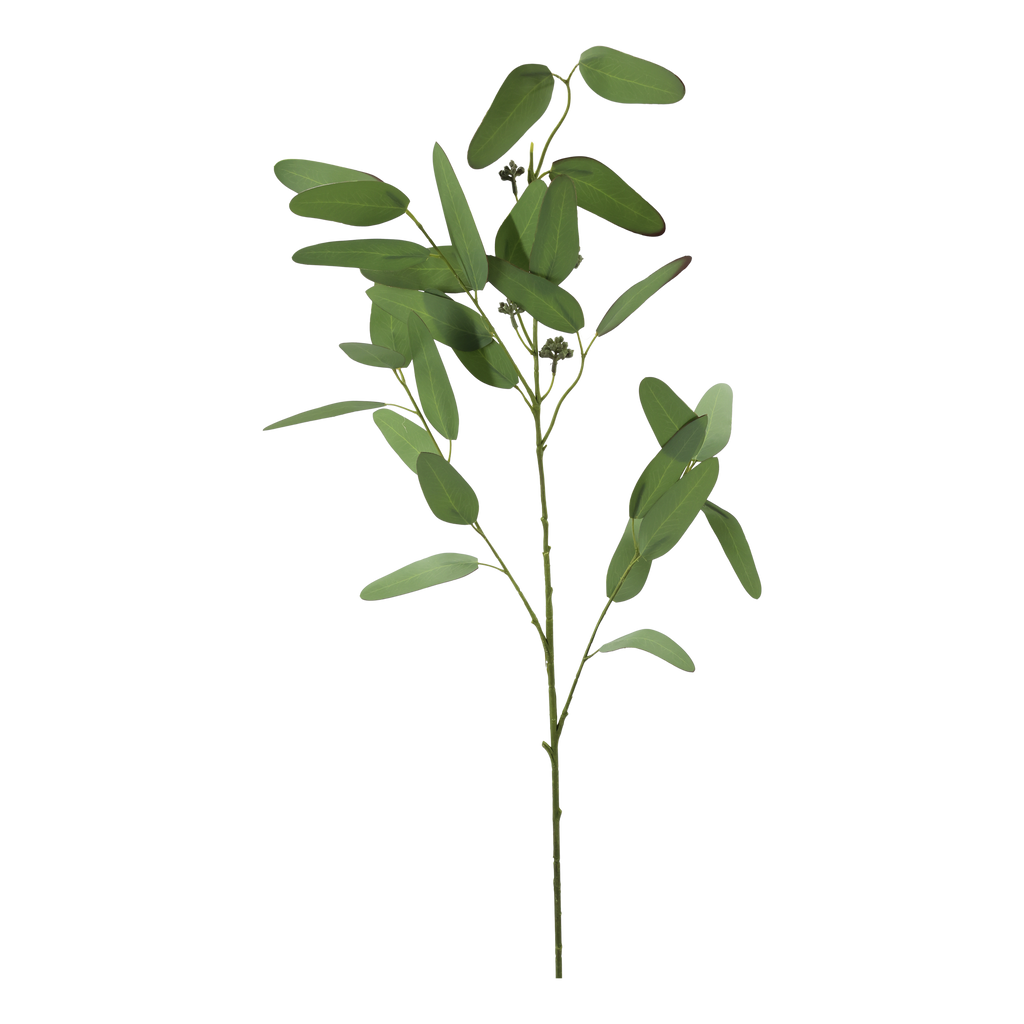 Fleur eucalyptus kunsttak Silk Touch