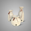 Set van 3 Decoratieve Flessen Majestic Taupe – Lines & Rope