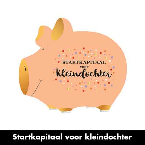 Spaarvarken Startkapitaal voor Kleindochter van Artige – cadeau voor een kleindochter