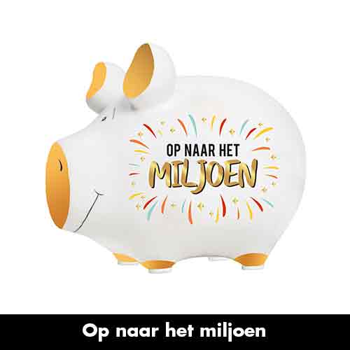 Spaarvarken Op naar het miljoen van Artige