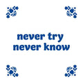 Tegeltje met tekst – Never Try Never Know