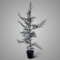 BRYNXZ kunstboom Tree Ceder Grey, maat M, 120 cm hoog, in zwarte kweekpot