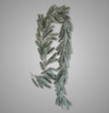 Cederslinger in de kleur Grey, lengte 190 cm