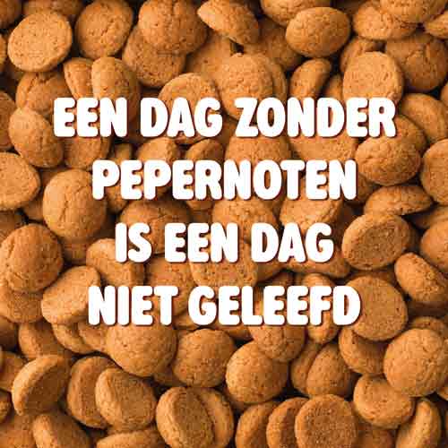 Tegeltje vol pepernoten met witte tekst Een dag zonder pepernoten is een dag niet geleefd